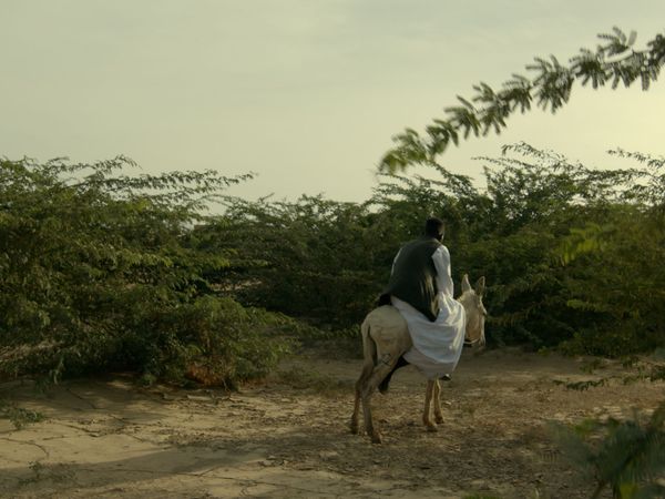 4790ed37 e031 4b6f a06a c253038080e6