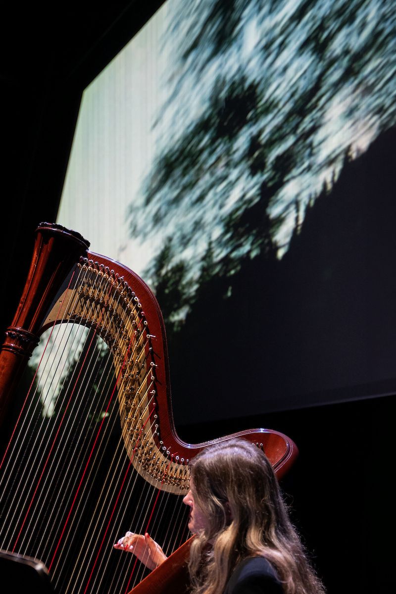 Videodroom - Mary Lattimore x 'Old Joy'