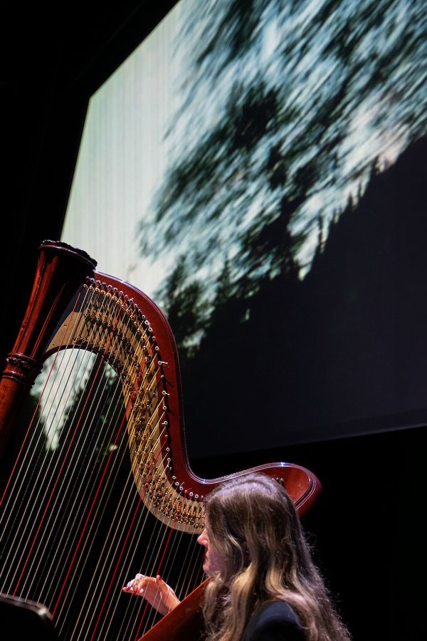 Videodroom - Mary Lattimore x 'Old Joy'