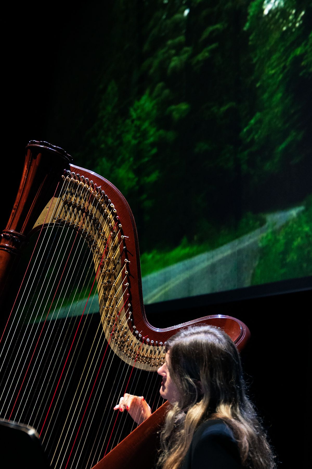 Videodroom - Mary Lattimore x 'Old Joy'