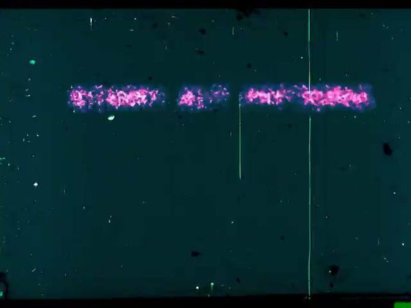 Film Fest Gent | Binary Bit Patterns